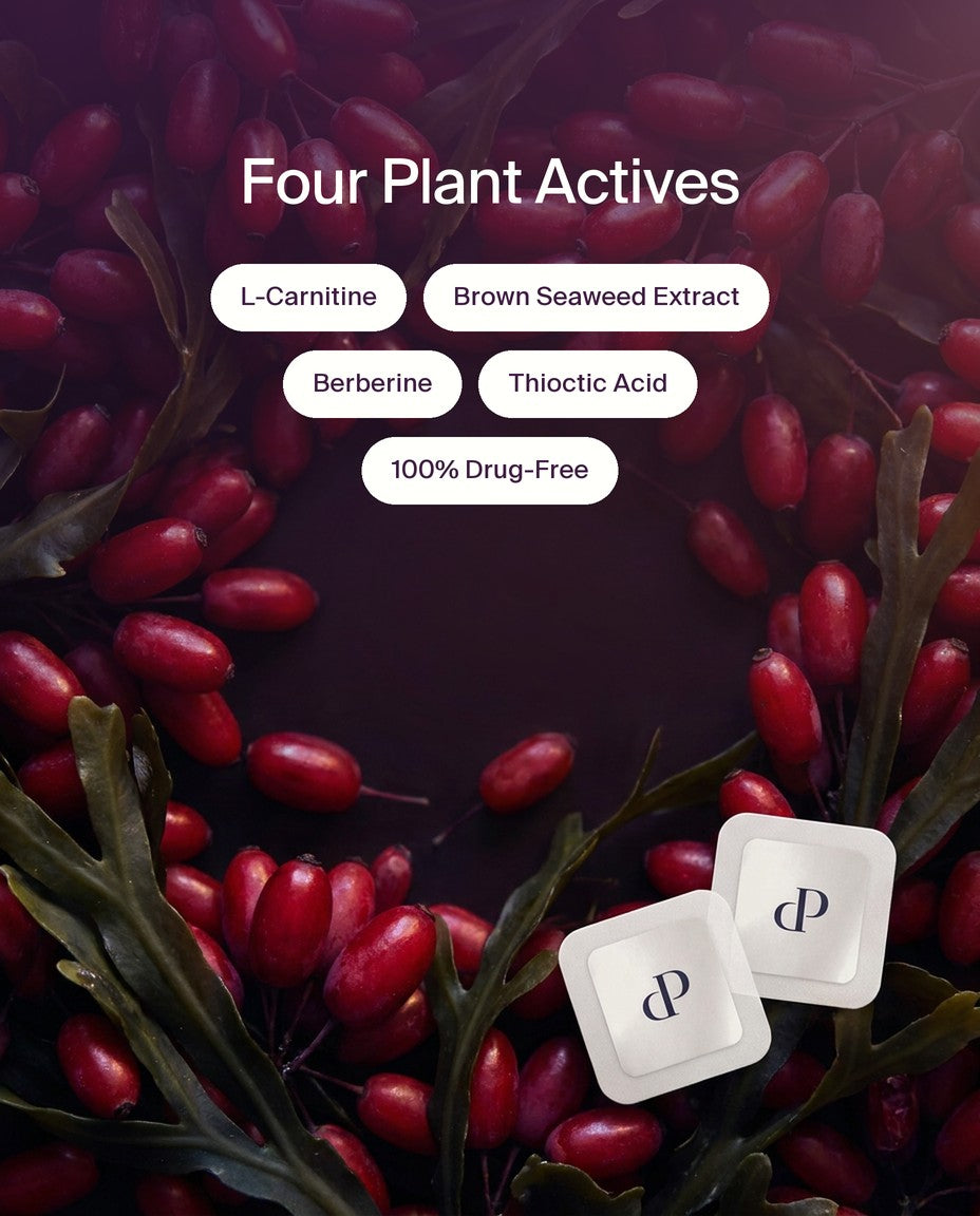 Four plant actives: L-Carnitine, Brown Seaweed Extract, Berberine and Thioctic Acid